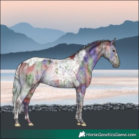 Horse Color:Platinum Nacre Chocolate Silver Brown Dun Tobiano Frame Brindle 