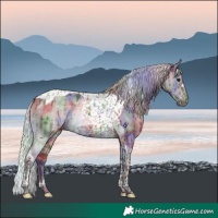 Horse Color:Platinum Nacre Chocolate Silver Brown Dun Tobiano Frame Brindle 