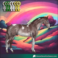Horse Color:Platinum Chocolate Brown Dun Splash Tobiano Frame Brindle 