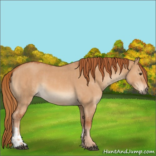 Horse Color:Red Dun  and Red Dun 