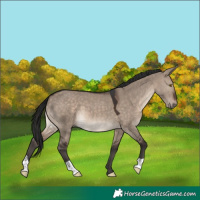 Horse Color:Brown Dun Mushroom 