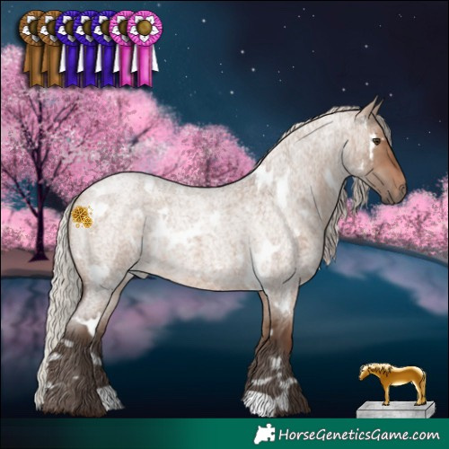 Horse Color:White Spotted Silver Brown Roan Dun