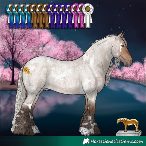 Horse Color:White Spotted Silver Brown Roan Dun 