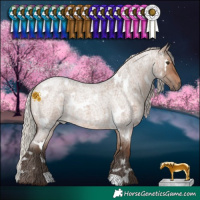 Horse Color:White Spotted Silver Brown Roan Dun 