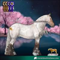 Horse Color:White Spotted Silver Brown Roan Dun 
