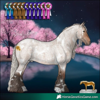 Horse Color:White Spotted Silver Brown Roan Dun 