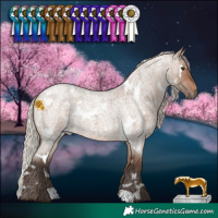 Horse Color:White Spotted Silver Brown Roan Dun