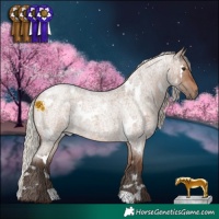 Horse Color:White Spotted Silver Brown Roan Dun 