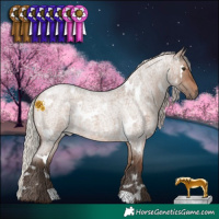 Horse Color:White Spotted Silver Brown Roan Dun 