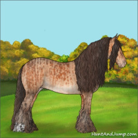Horse Color:Bay  and Amber Champagne 