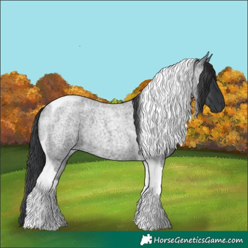 Horse Color:Blue Roan Tobiano Rabicano 