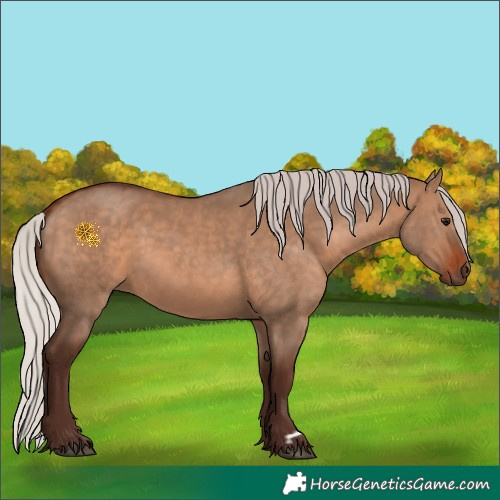 Horse Color:Silver Brown Dun 