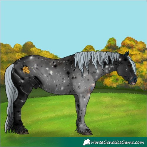 Horse Color:ERROR: UNKNOWN ANOMALY