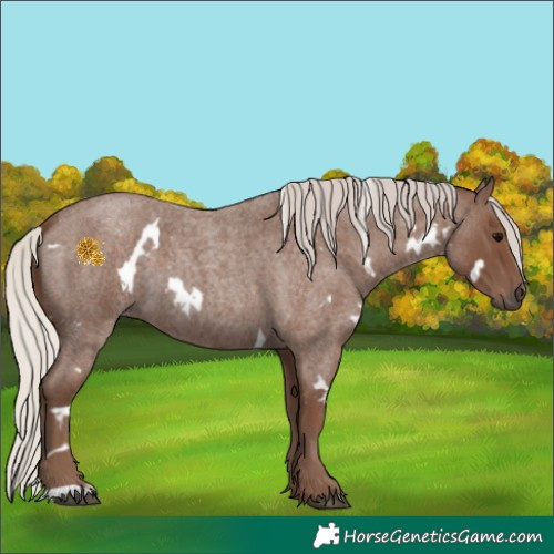 Horse Color:White Spotted Silver Blue Roan 