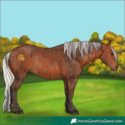 Horse Color:Brown Rabicano  and Silver Brown Rabicano 
