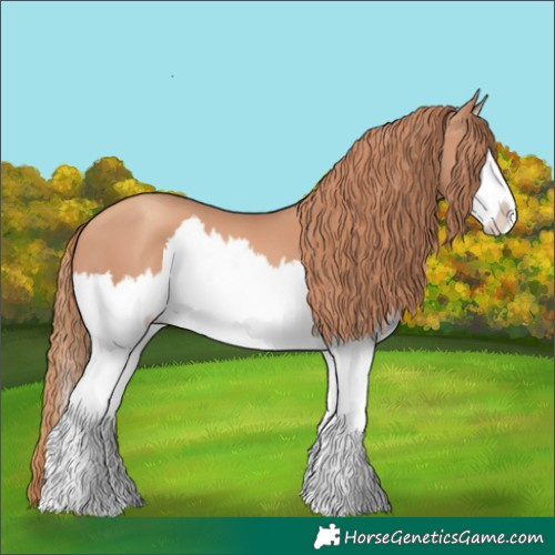 Horse Color:Gold Champagne Splash