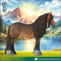 Horse Color:Buckskin Tobiano 