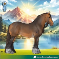 Horse Color:Buckskin Tobiano