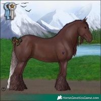 Horse Color:Chocolate Brown 