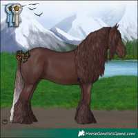 Horse Color:Chocolate Brown 