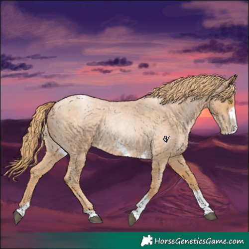 Horse Color:Red Roan Pearl Tobiano Frame 