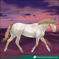 Horse Color:Red Roan Pearl Tobiano Frame 