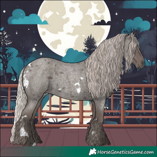 Horse Color:White Spotted Silver Blue Roan 