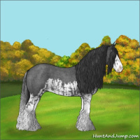 Horse Color:Blue Roan Sabino Splash and Blue Roan Sabino Splash