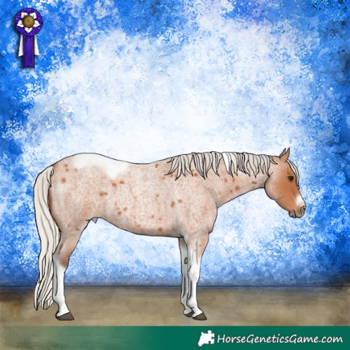 Horse Color:Silver Bay Roan Tobiano Frame