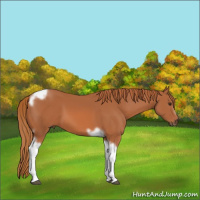 Horse Color:Chestnut Tobiano Frame 