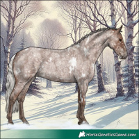 Horse Color:White Spotted Silver Blue Roan 