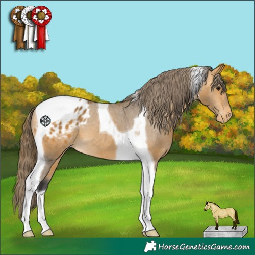Horse Color:Buckskin Tobiano Blanket 