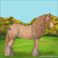Horse Color:Chestnut Varnish Rabicano 