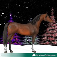 Horse Color:Bay Tobiano 