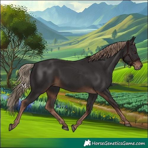 Horse Color:Liver Chestnut 