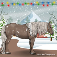 Horse Color:White Spotted Silver Blue Roan 