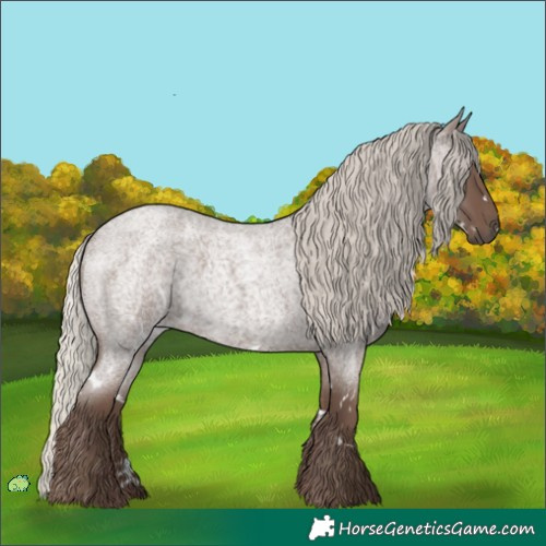 Horse Color:White Spotted Silver Blue Roan 
