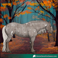 Horse Color:White Spotted Silver Blue Roan 
