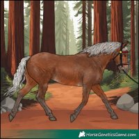 Horse Color:Silver Bay 