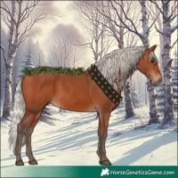 Horse Color:Silver Bay 