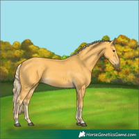 Horse Color:Palomino 