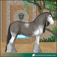 Horse Color:White Spotted Grullo