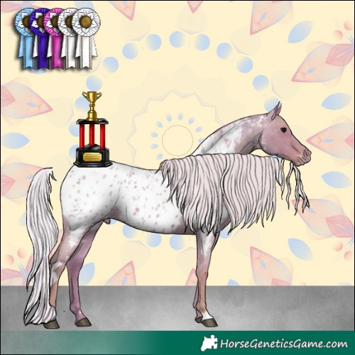 Horse Color:Watercolor White Spotted Silver Blue Roan Appaloosa