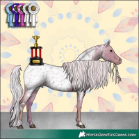 Horse Color:Watercolor White Spotted Silver Blue Roan Appaloosa 