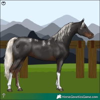 Horse Color:Powder White Liver Chestnut Mushroom Tobiano 
