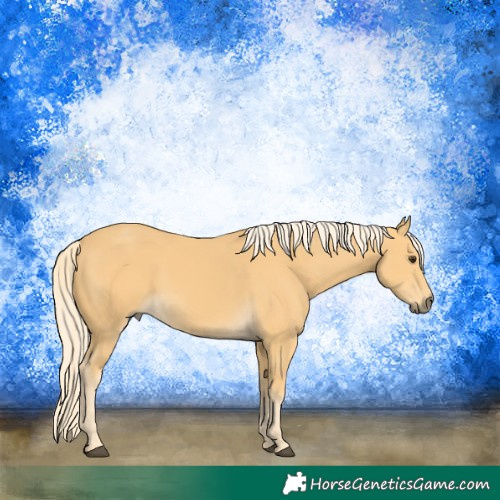 Horse Color:Palomino