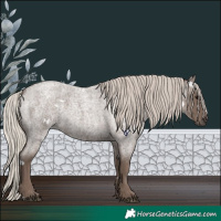 Horse Color:White Spotted Silver Blue Roan 