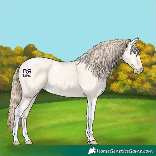Horse Color:Perlino Dun Tobiano