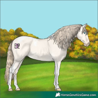 Horse Color:Perlino Dun Tobiano 