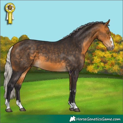 Horse Color:Silver Buckskin 